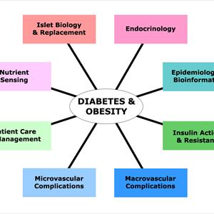 Medicare Cover Diabetic Shoes - Current Medical Approach For Type 2 Diabetes Is Heading Towards A Dead End