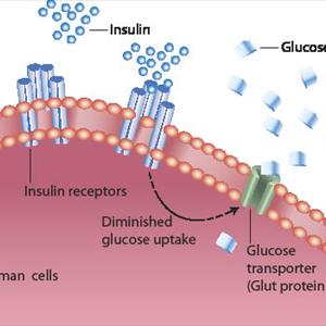  Diabetes Home Remedies And Simple Treatments For Diabetes Mellitus