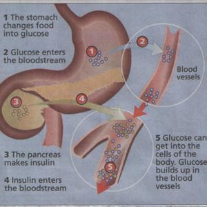 Diabetes Prevention Program 