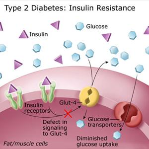 Cinnamon For Diabetes Control 